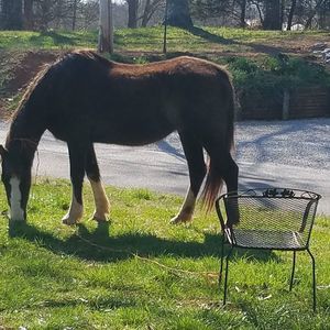 Meet your Posher, Gail